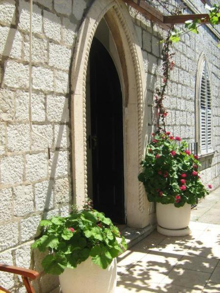 House Boninovo (Adults Only) Ξενοδοχείο Ντουμπρόβνικ Εξωτερικό φωτογραφία
